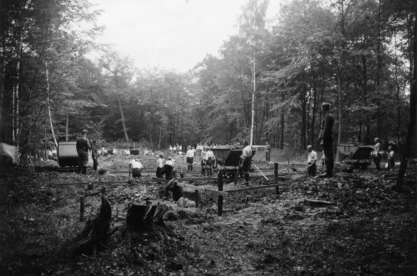 Under the supervision of SS guards, prisoners dig amid tall trees.