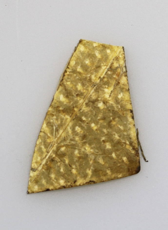 Piece of human skin in an almost triangular shape. Due to the tanning of the skin, the piece looks like yellowish leather.