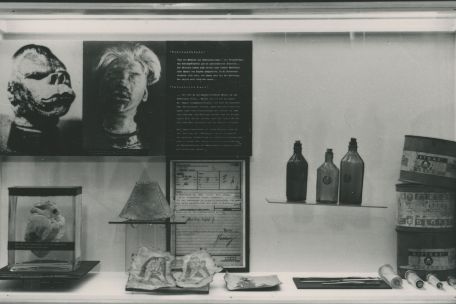 You can see an exhibition wall on which organ preparations and a small lampshade made of human skin are displayed on the left. Above them is an information board depicting two shrunken heads. On the front left are pieces of tattooed human skin.
