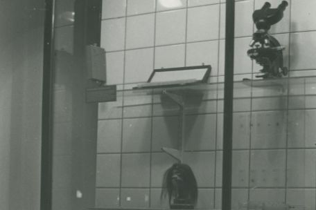 Zusehen ist eine Austellungswand in der Ausstellung von 1985 der Nationalen Mahn- und Gedenkstätte der DDR. Unten im Bildausschnitt ist ein Schrupfkopf zu erkennen.