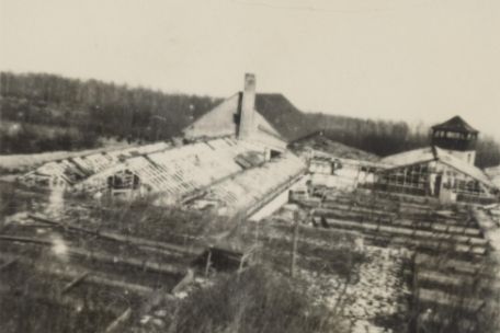 The picture shows a complex with several greenhouses. A watchtower of the camp can be seen in the background.