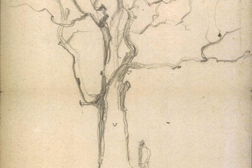 Bleistiftzeichnung eines Baumes, recht davor steht ein dem Baum zugewandter Mann