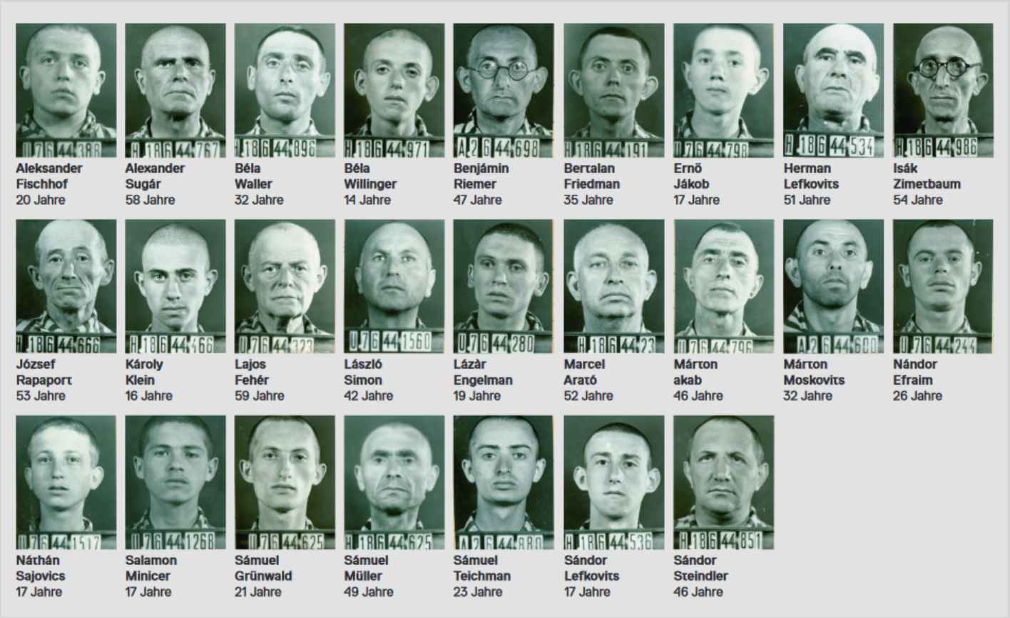 Zu sehen ist eine Collage von Häftlingsportraits verschiedener Häftlinge des KZ-Buchenwalds.