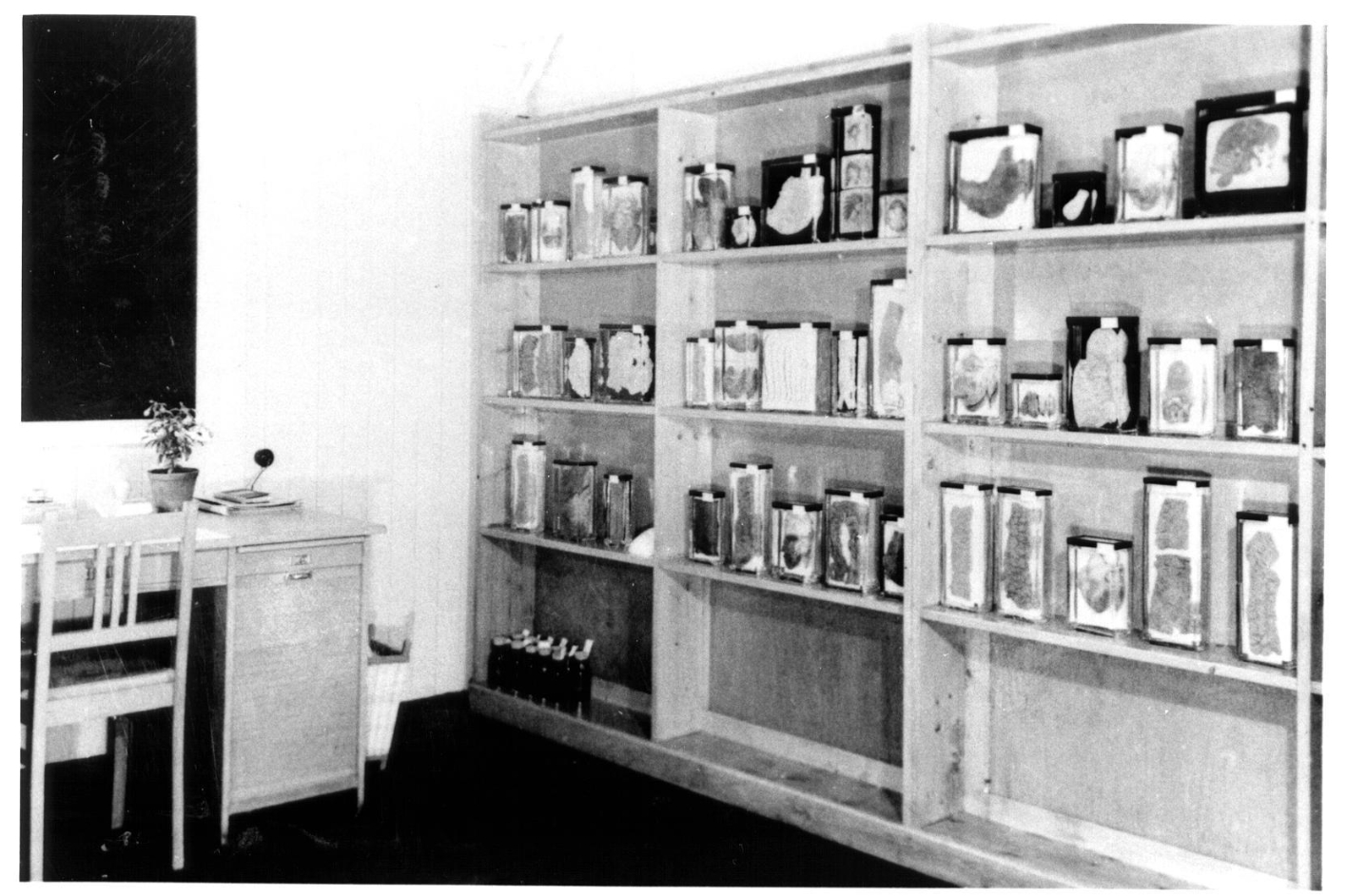 Photo from the center of the pathology office. The largest part of the room is taken up by a wall-sized shelf with organ preparations. To the right of it is a small desk.