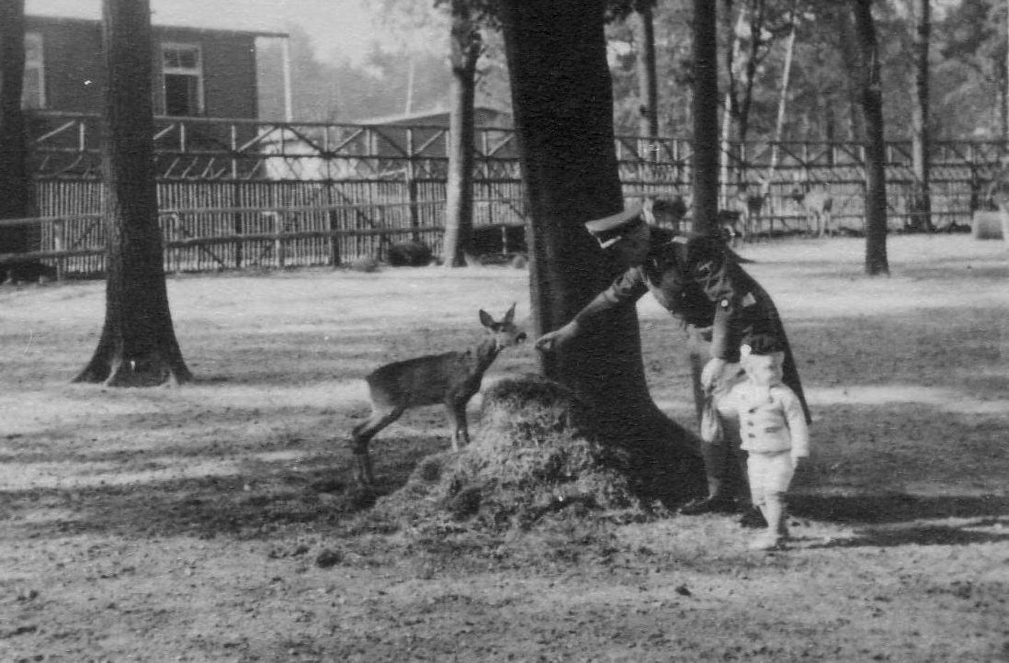 Der Lagerkommandant Karl Koch füttert aus ein Rehkitz aus der Hand, welches augenscheinlich ein weitläufiges Gehege mit Bäumen zur Verfügung hat. An der anderen Hand sein Sohn, ein kleines Kind. Das Kind schaut in die andere Richtung, aus dem Bild heraus. 