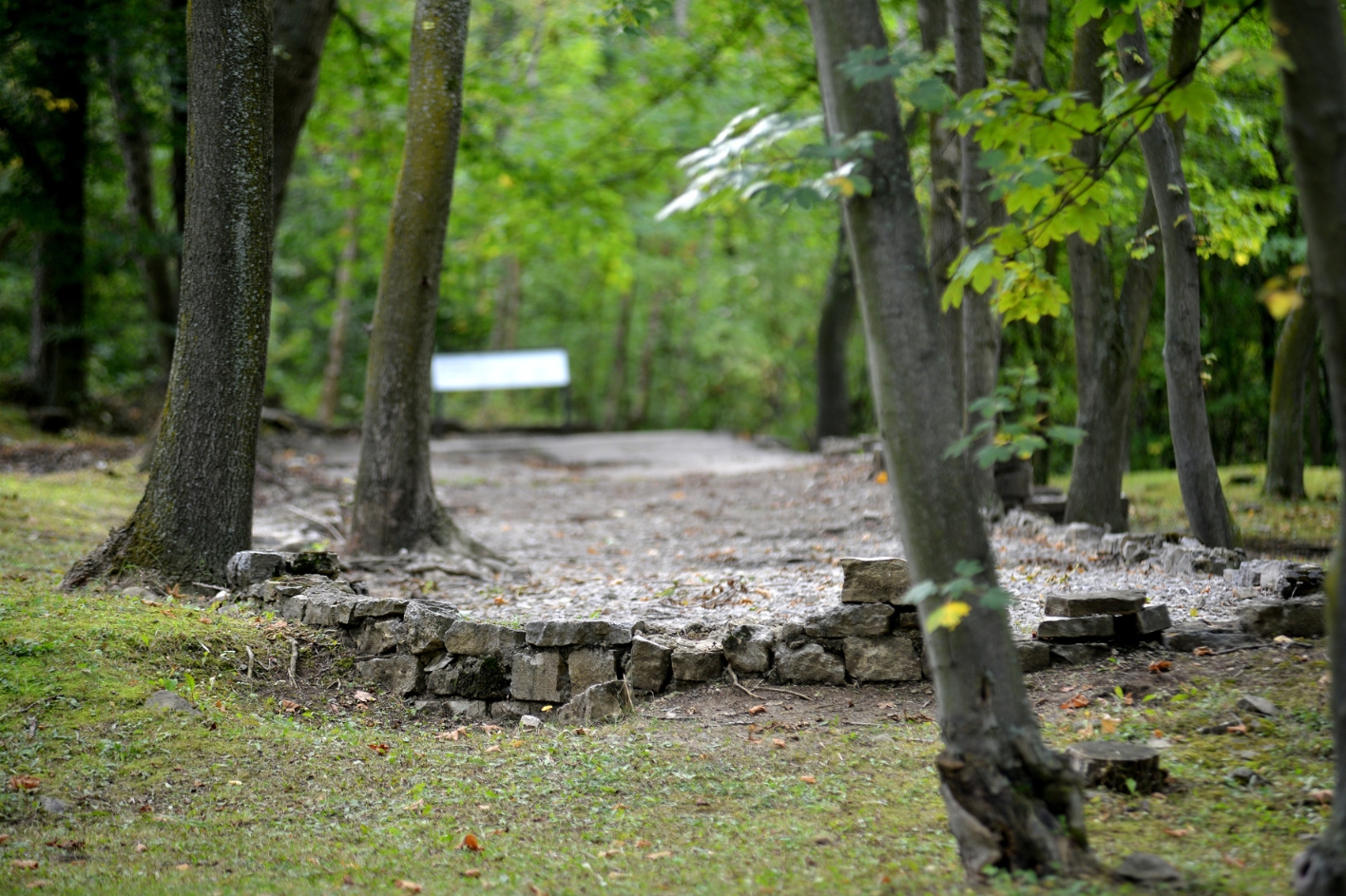 Im Zentrum des Bildes steht ein kleiner, unregelmäßiger Mauerrest, der eine graue Kiesfläche umschließt, im Wald. 