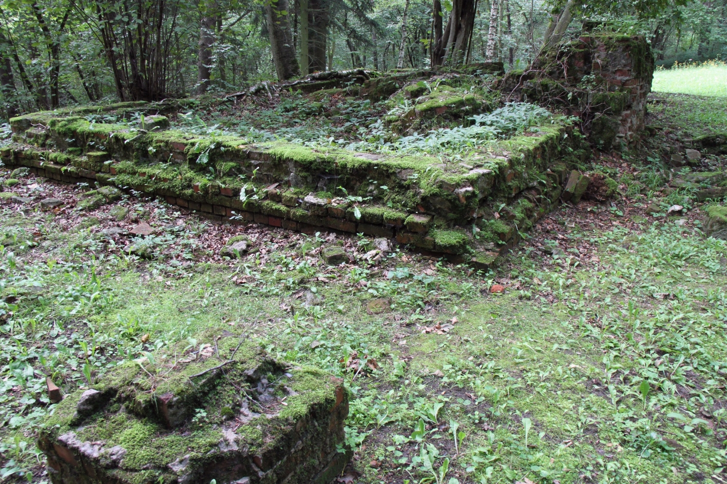 Moss-covered foundation wall remains surrounded by trees.