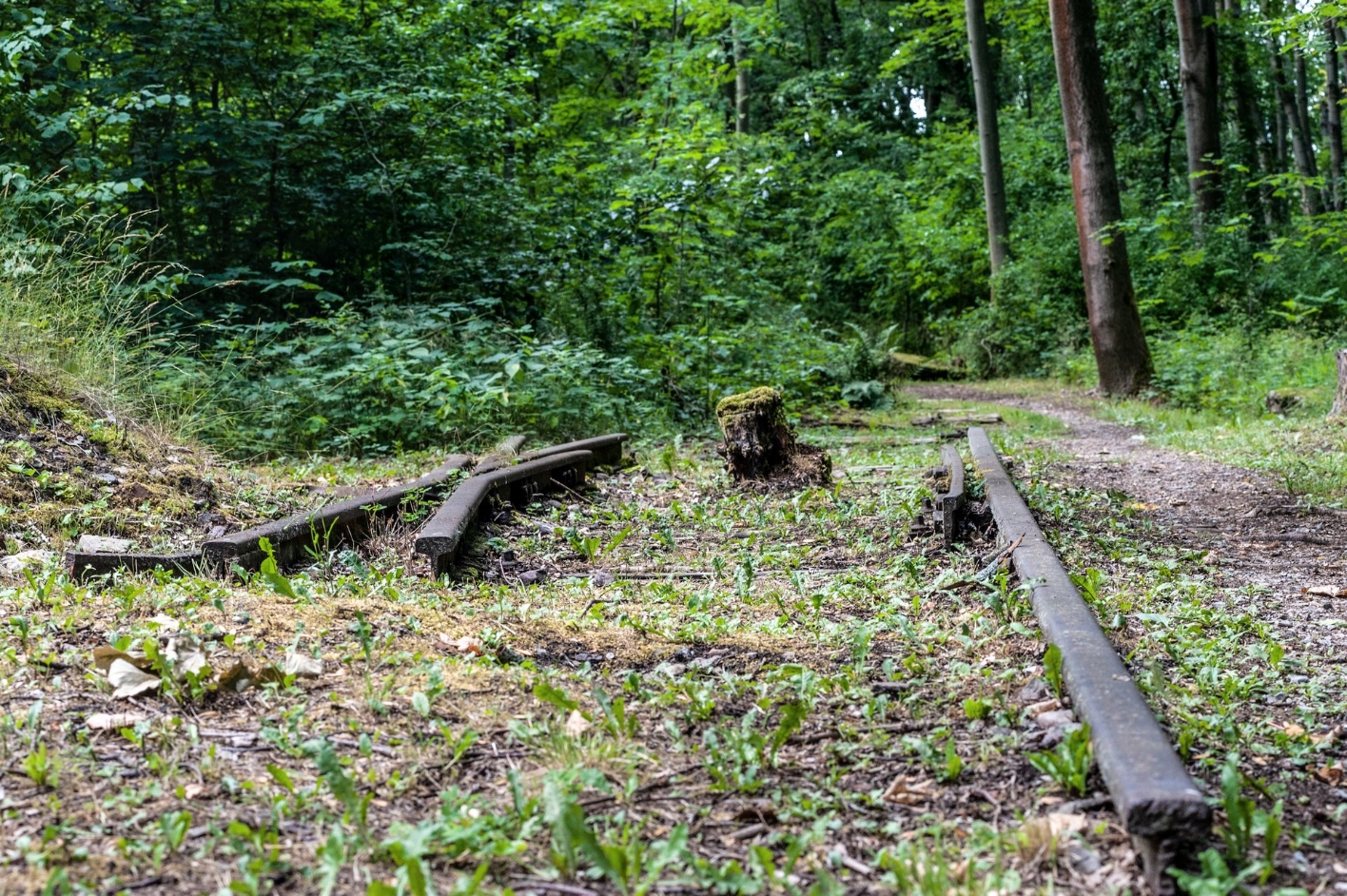 Am Rande eines Trampelpfades die Überreste einer Weichenanlage. Die Gleise sind mit Rost überzogen. In Mitten der Gleise steht ein Baumstumpf.