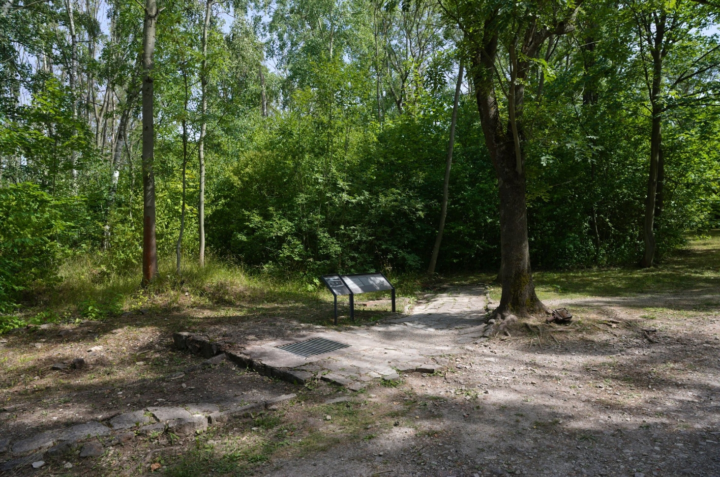 Das Bild zeigt Betonplatten und ein Metallgitter, die in den Boden eingelassen sind. Am Rand zwischen Bäumen steht ein Infoschild.