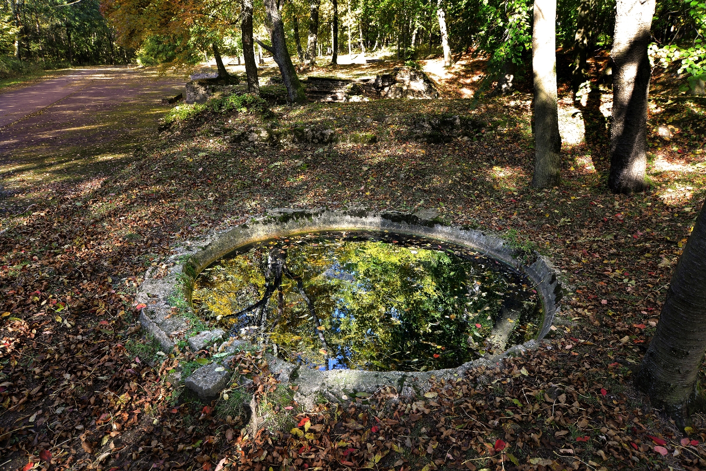 A small, rusty fountain set in a pool of water set into the ground with a stone border. The basin stands in an autumnal forest.