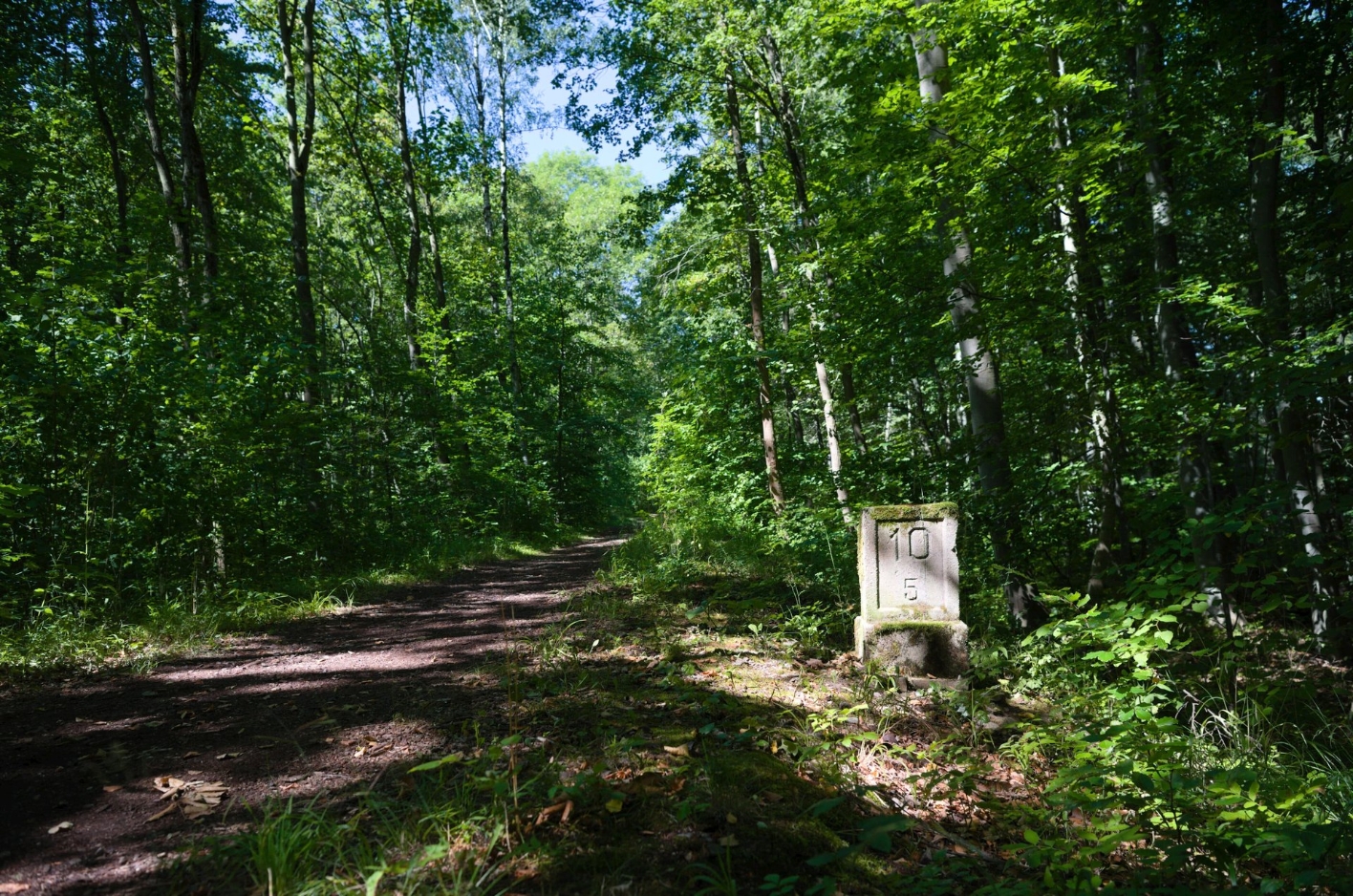 The Buchenwaldbahn memorial trail leads through the forest. At the side of the path a milestone of the former Buchenwaldbahn.