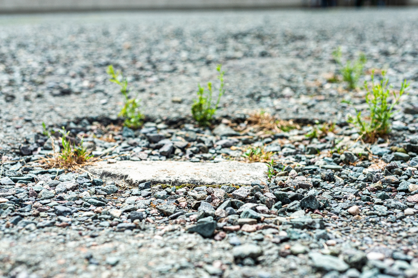 A stone set into old asphalt, white against the gray, crumbling ground.