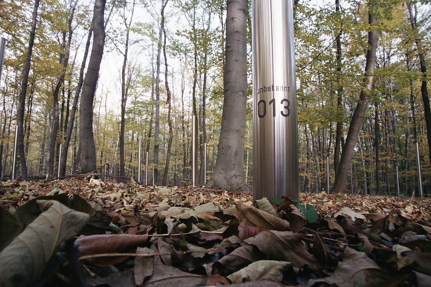 A single steel stele amidst the forest. At the bottom of the stele the number 13 and the word "Unknown". In the background more stelae throughout the forest