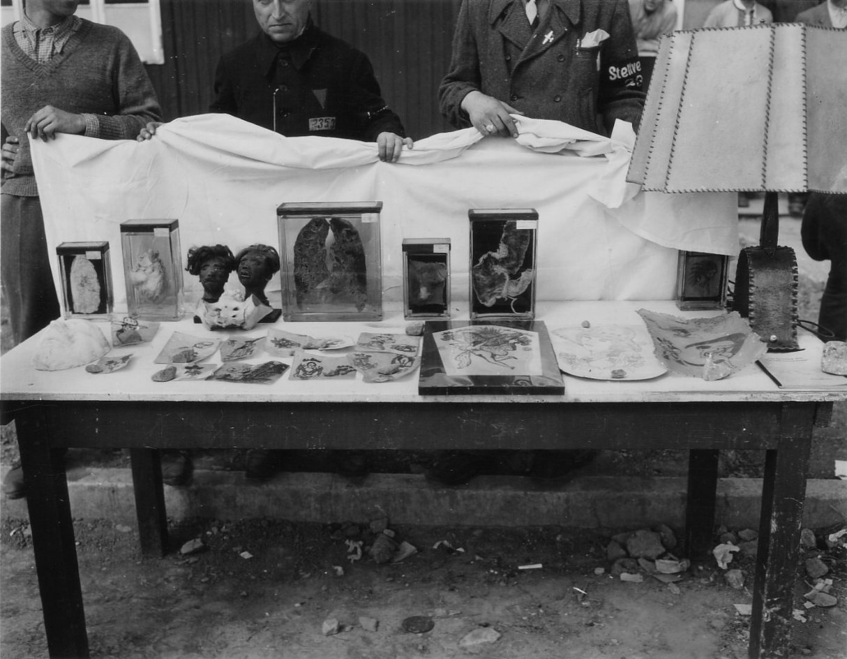 The picture shows a table with human specimens. On the far right is a lampshade made of human skin. To the left are pieces of tanned, tattooed human skin on the front of the table. At the back of the table, organs are displayed in preparation jars. A heart and a lung are clearly recognisable. Two shrunken heads can also be seen between the organ preparations.
