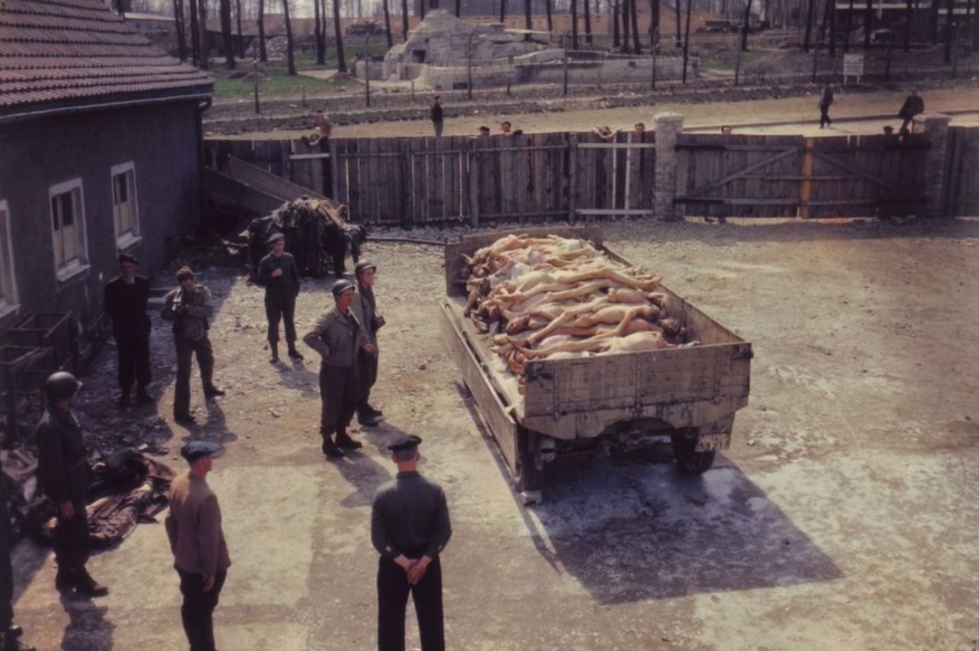 US soldiers and former prisoners in front of a truck trailer loaded with stacked naked corpses in the courtyard of the crematorium. In the background, the SS Zoological Garden.