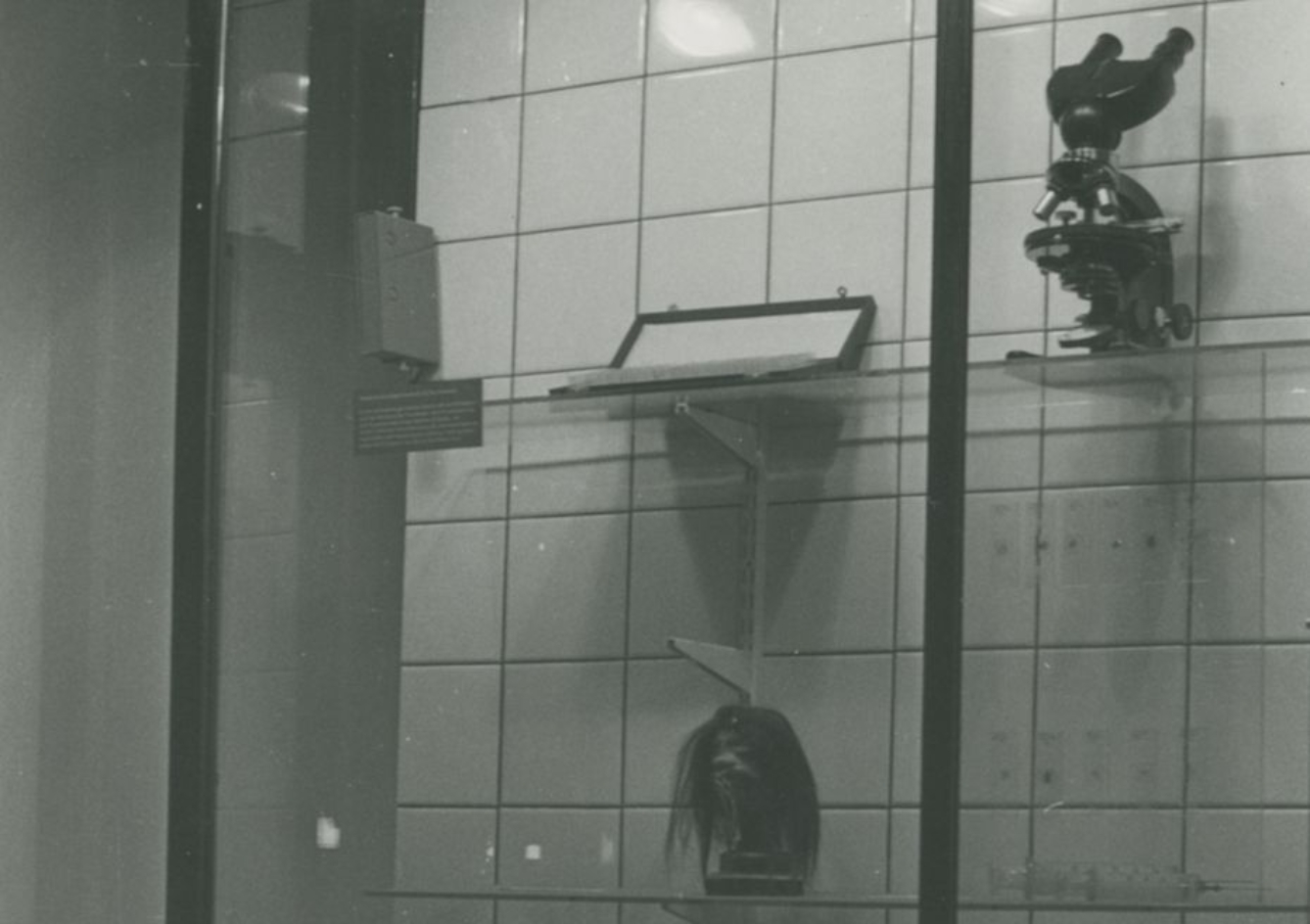 Zusehen ist eine Austellungswand in der Ausstellung von 1985 der Nationalen Mahn- und Gedenkstätte der DDR. Unten im Bildausschnitt ist ein Schrupfkopf zu erkennen.