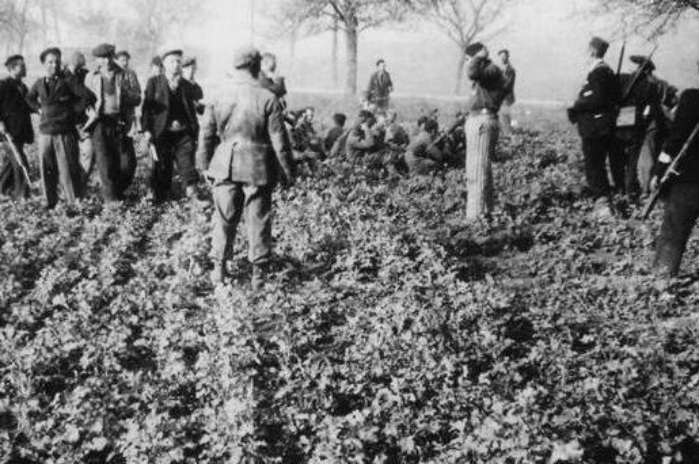 Prisoners armed with rifles capture SS men. The latter kneel in a field. 