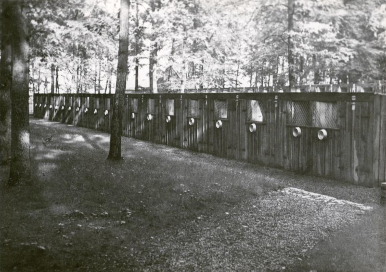 View of the large dog kennel used by the SS. The individual kennels can be seen surrounded by trees.