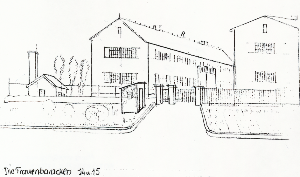 A drawing of the two two-story barracks of the former concentration camp laboratory that were used as women's barracks in the special camp. To the left is a small house with a conspicuously large and tall chimney. The drawing is labeled below as follows: "The women's barracks 14 and 15, former laboratory. After demolition of the small building, a casket with gold and precious stones worth 2 million gold marks was found walled into the foundation." 