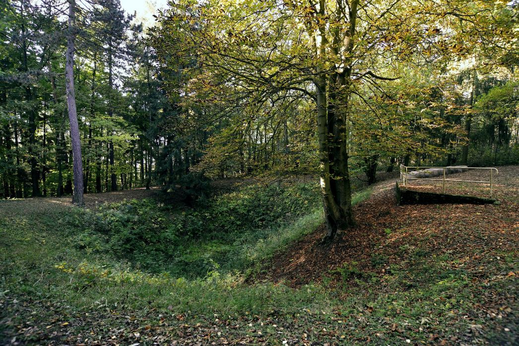 Ein grün bewachsener Erdtrichter im Wald. Links führt ein Hang hinauf zu einem Baum und schlichten Geländer