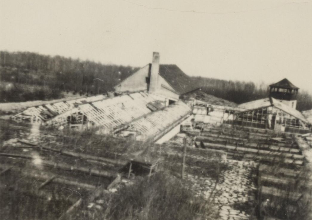 The picture shows a complex with several greenhouses. A watchtower of the camp can be seen in the background.