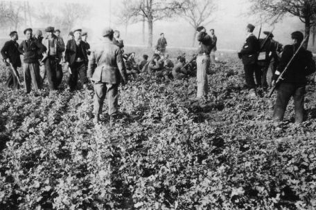 Ein Dutzend mit Gewehren bewaffneter Häftlinge umringen auf einem Feld sitzende SS-Männer