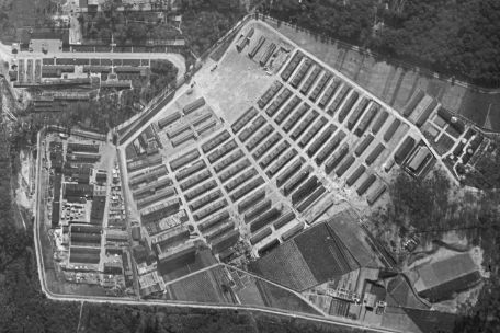  Aerial view of the prisoners' area of Buchenwald concentration camp. The barracks stand in five rows of 5 buildings each, plus other functional buildings around them. The road from the outside to the camp gate is also lined with buildings. Most of the surrounding area is wooded. Fields are also visible.