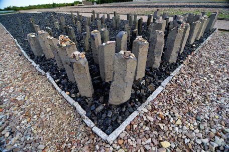 Säulenartig aufgestellte hüfthohe Steine in einem schwarzen Schlakesteinfeld. Auf die Steine wurden auf der Oberseite vereinzelt kleine Steinchen abgelegt