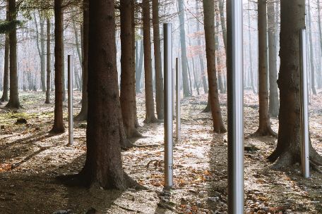 Blank glänzende Stahlstehlen im Waldfriedhof markieren anonyme Sammelgräber aus der Zeit des sowjetischen Speziallagers