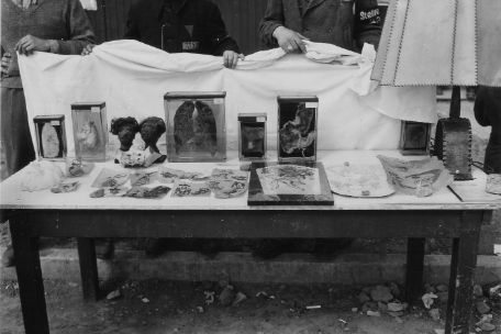 The picture shows a table with human specimens. On the far right is a lampshade made of human skin. To the left are pieces of tanned, tattooed human skin on the front of the table. At the back of the table, organs are displayed in preparation jars. A heart and a lung are clearly recognisable. Two shrunken heads can also be seen between the organ preparations.
