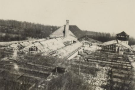 Auf dem Bild ist ein Komplex mit mehreren gewächshäusern zu erkennen. Im Hintergrund ist ein Wachturm des Lagers zu sehen.