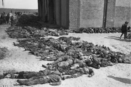 Das Foto zeigt hunderte ermordete KZ-Häftlinge die nebeneinander aufgereiht liegen.