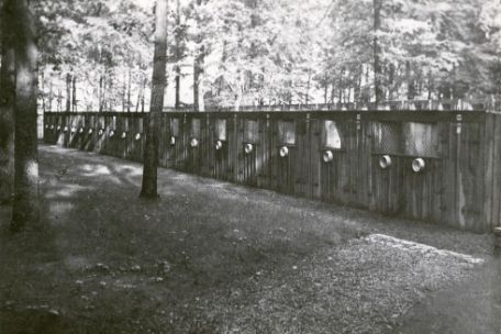 View of the large dog kennel used by the SS. The individual kennels can be seen surrounded by trees.