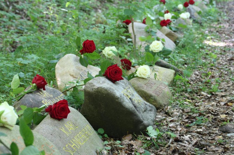 Mit Namen der Opfer gravierte Gedenksteine säumen den Wegrand des Gedenkweg Buchenwaldbahn.
